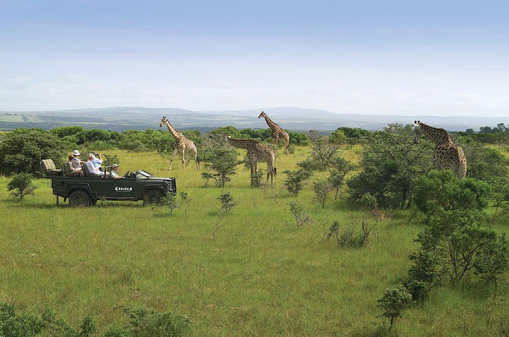 Kariega Game Reserve River Lodge Кентон-он-Си Экстерьер фото