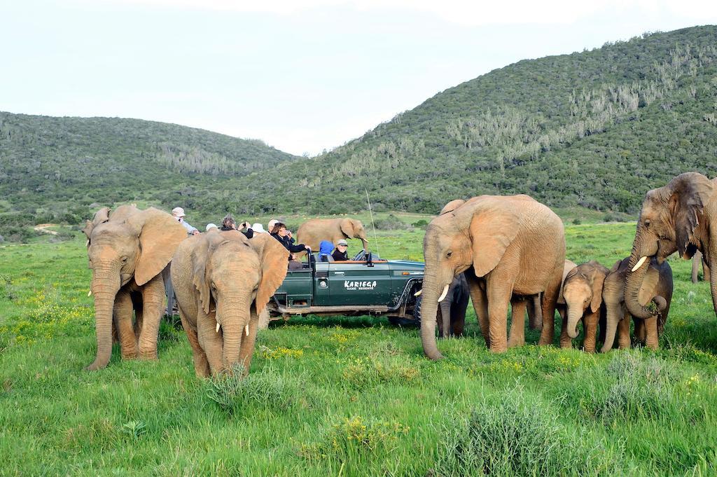 Kariega Game Reserve River Lodge Кентон-он-Си Экстерьер фото